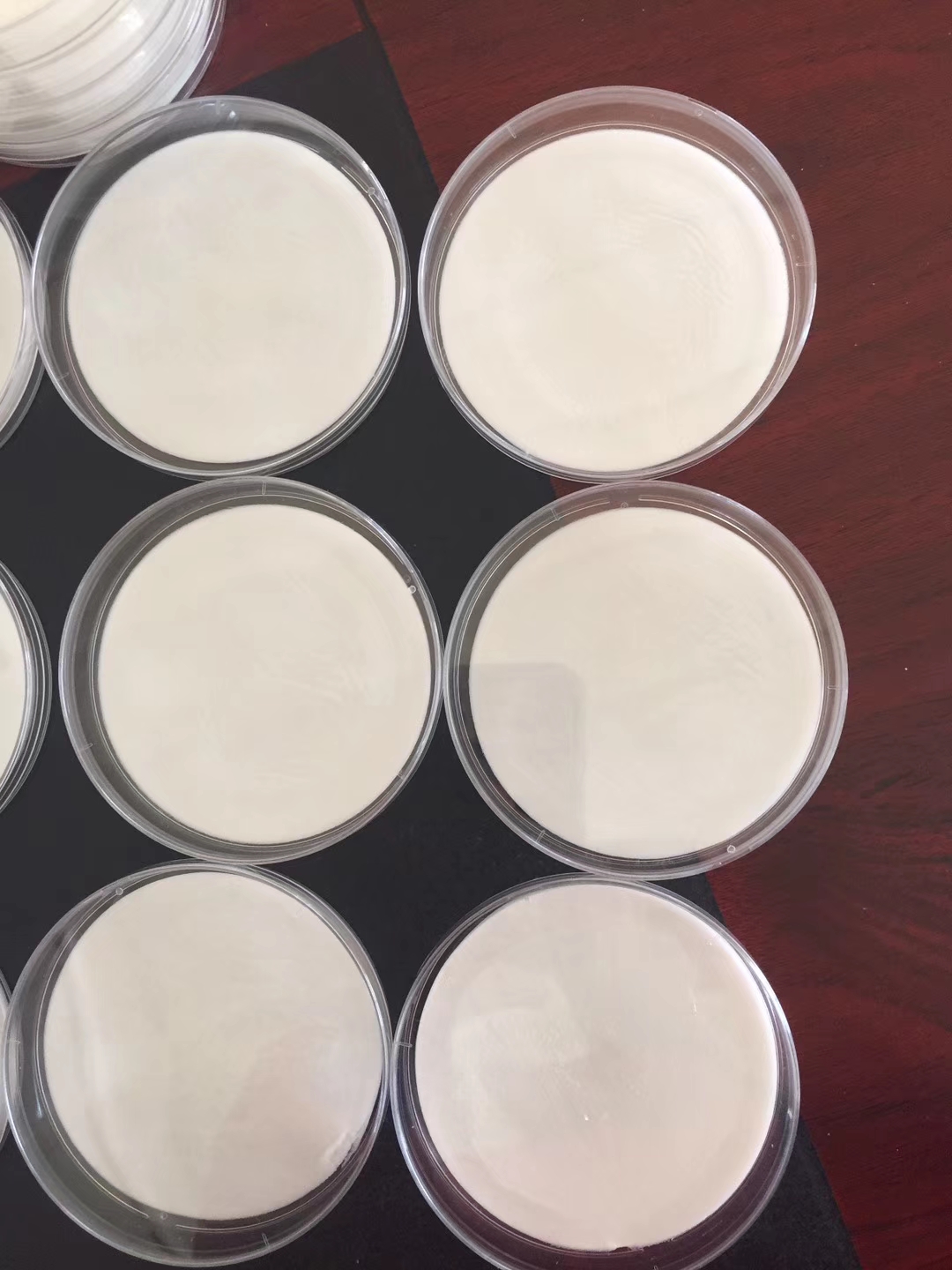 mmexportaci&oacute;n1568772632248