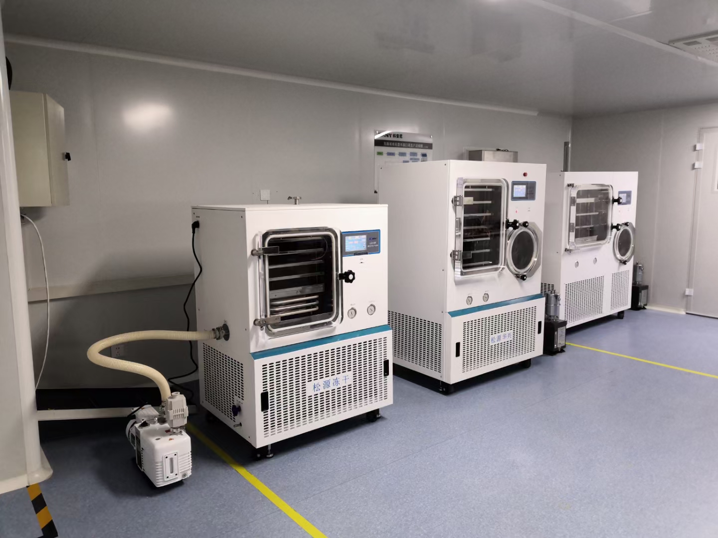 mmexportaci&oacute;n1645674949157