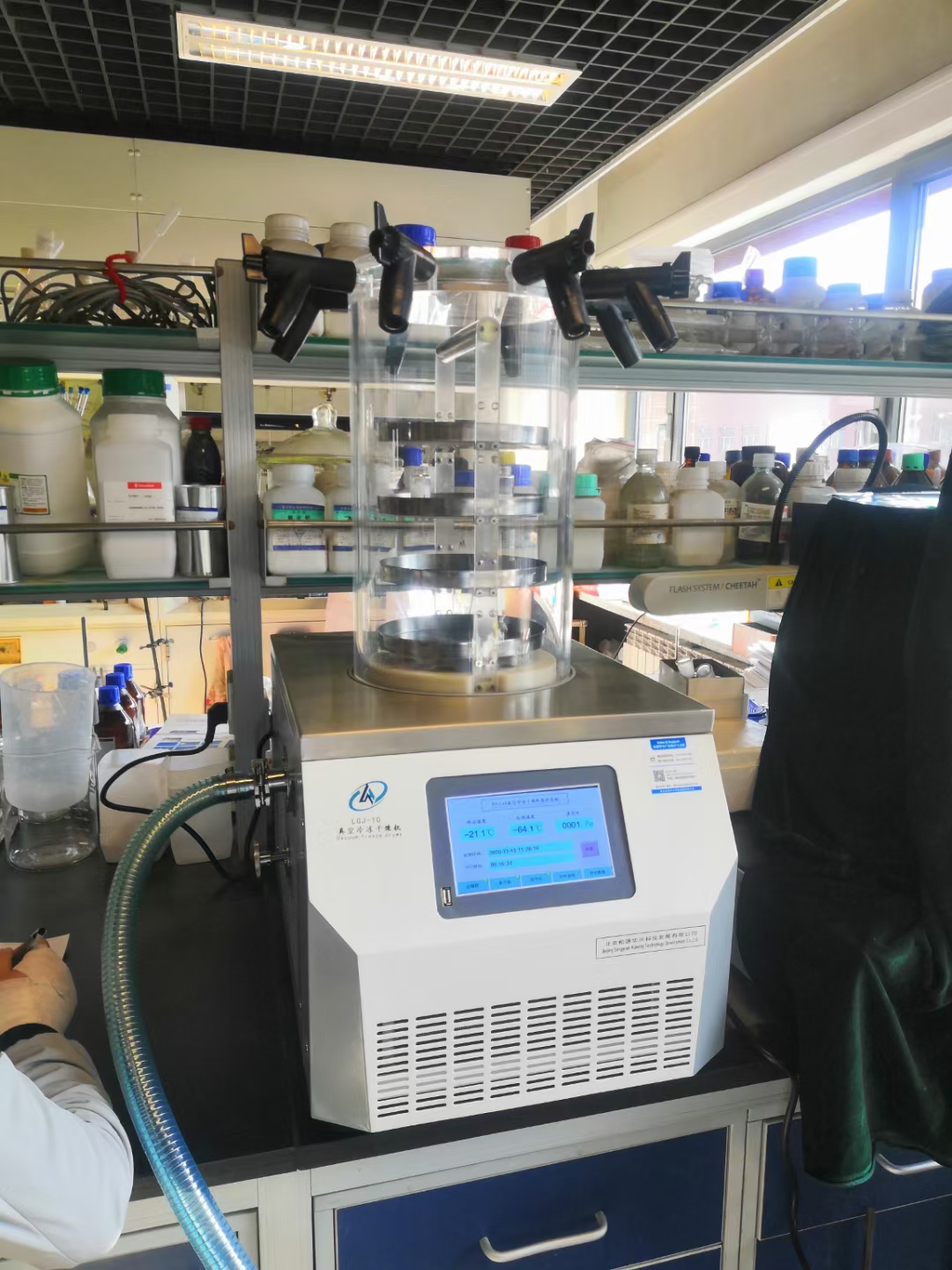 mmexportaci&oacute;n1605332596952